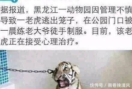 优秀|男子娶到2.4米高的老婆,婚后被评为优秀老公,理由让人哭笑不得