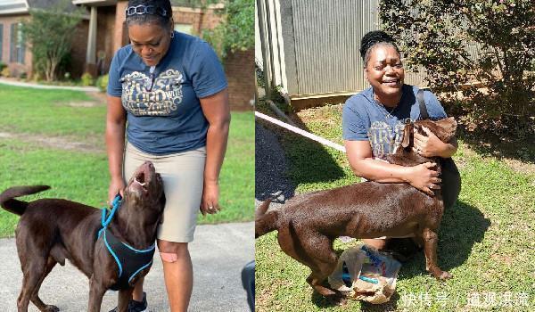  重逢|爱犬逃家被告知死在路边，结果2年后缘分让他们再度重逢！