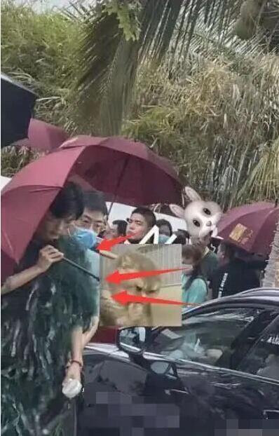  嘉宾|飞行嘉宾《青春环游记2》海报曝光，5位常驻不见肖战