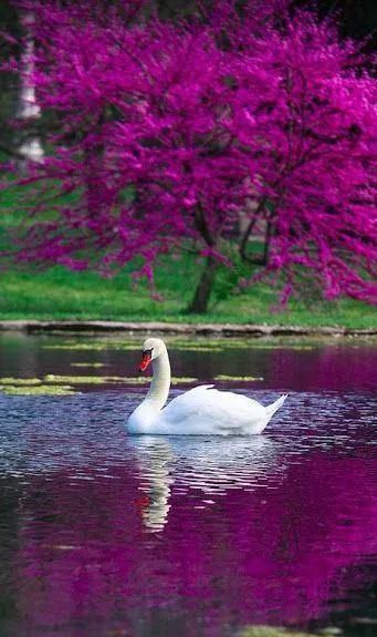 难得一见|奇妙风光，难得一见