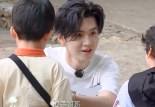  嘉宾|谭松韵退出《小森林》，接替她的嘉宾意外撞脸张新成，频频被萌娃认错