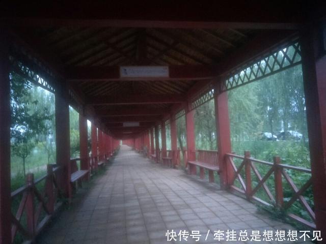 河南省|河南省民权县任庄国家湿地公园快来看,这里的千亩荷花开了