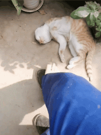 搞笑|搞笑GIF:现在都流行划船送餐,没两把刷子你都不敢上船