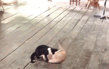 搞笑|搞笑GIF:现在都流行划船送餐,没两把刷子你都不敢上船