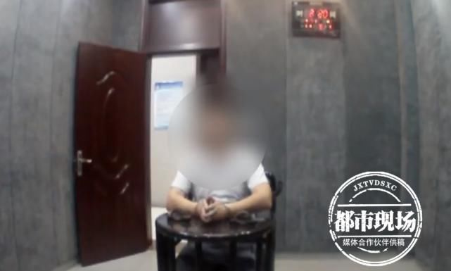 年后|看到邻居家植物长得好看，男子深夜盗挖种自家别墅，2年后落网