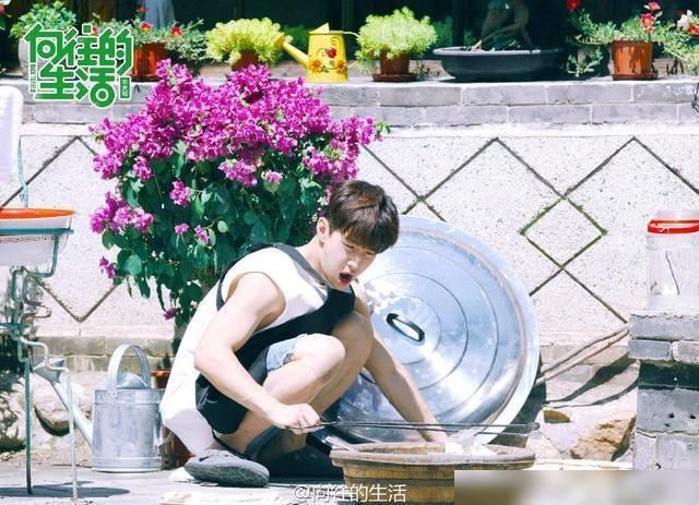  可惜|宋丹丹、陈赫做客《向往的生活》，爆笑连连，大华缺席很可惜