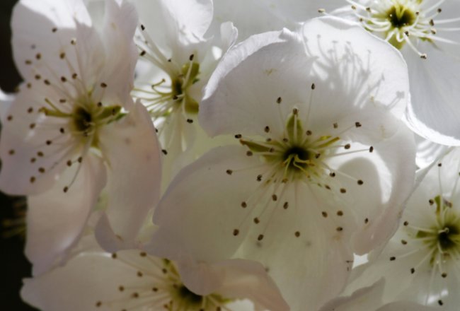 老人|70岁老人的真心劝告:晚年的日子,学会一个人过
