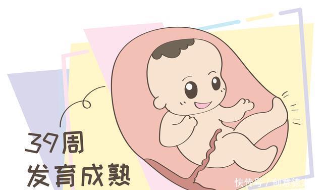 部队医院供卵试管婴儿排名