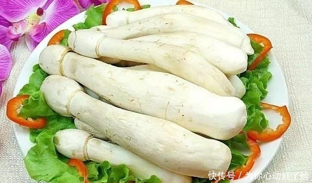 南方人|南方人说: 北方的食物, 是世界上最大的骗子! ?