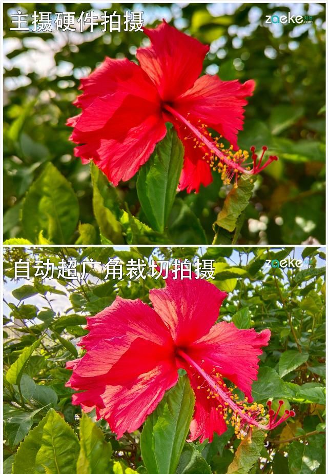  X50|vivo X50 Pro+ 拍照专项评测：强悍如此，堪称炫技