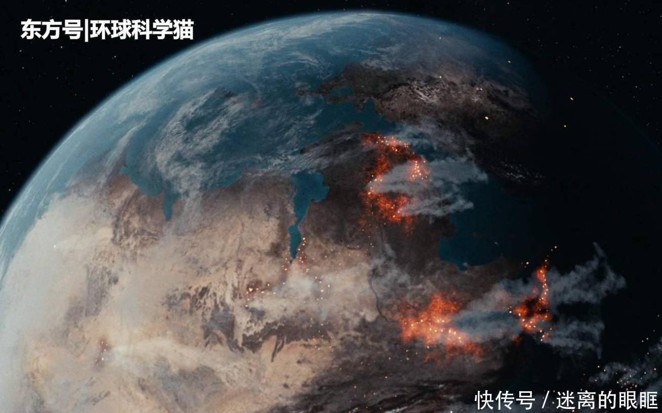 重生|朱鹮“重生”已达千余只消失近90年植物重现,是什么原因