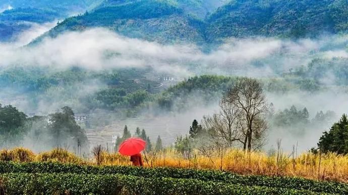  南平|南平 | 这五个25°C的古村落，又美又凉爽~