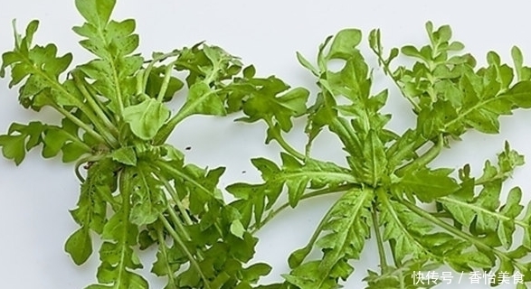  寿菜|被人称为“万寿菜”，以前知道的人很少，现在很多人都会吃！
