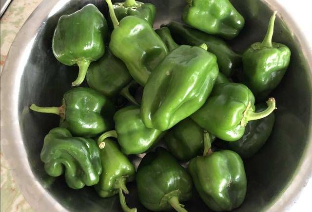  湿气|每年9月吃饺子，我家只包这饺子馅，体内湿气少了，小腰更细了