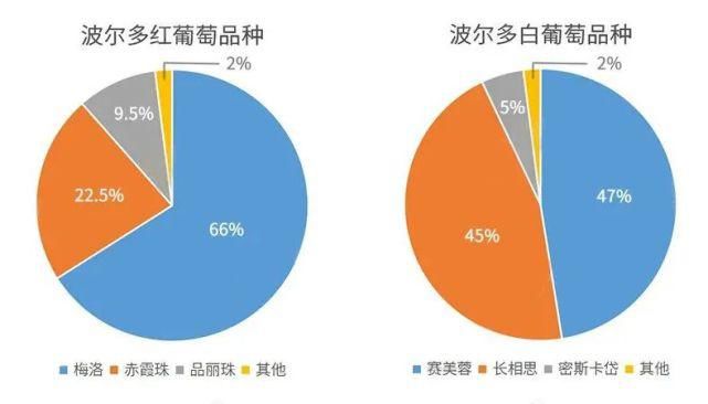 勃艮第|波尔多 VS 勃艮第