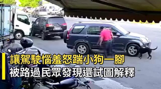  碾压|男子开车3度碾压小黑狗，下车还再补踹一脚！网友：蓄意谋杀
