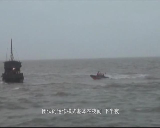  金额|涉案金额超10亿 苍南警方破获特大走私成品油案