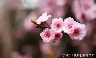 放在|碰瓷、短信诈骗？现代这些骗术放在古代算个啥？