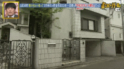  猫咪|只为开猫咪咖啡馆，女子日均开销不到15元，34岁前买下3栋楼！