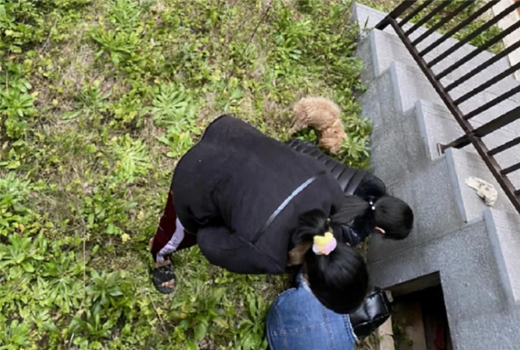  窗外|黄晓明夫妻4亿豪宅，落地窗当电视墙，窗外就是上海地标建筑
