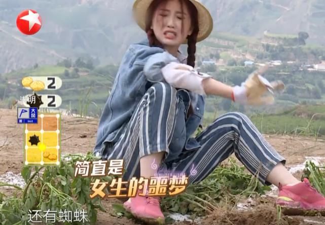  虞书欣|公益节目说农产品的缺点？《极限挑战》请虞书欣，真的是个错误！