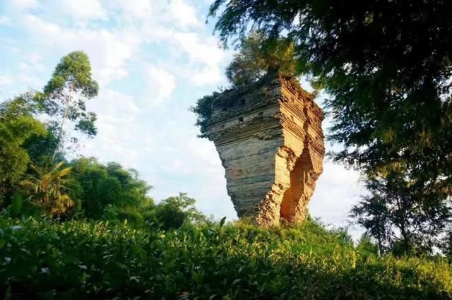  读城|〔读城〕成都地标产品之十：蒲江雀舌，追寻老川茶之根