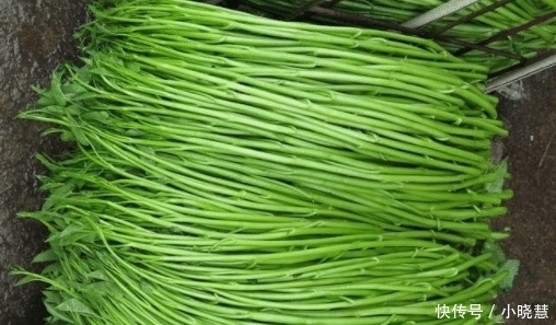 出口|中国不起眼的蔬菜,起了个“洋名字”,出口到美国,卖的比肉还贵!