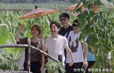 迎来|《向往的生活》迎来最强“关系户”,刚进门就挑剔,黄磊也被嫌弃