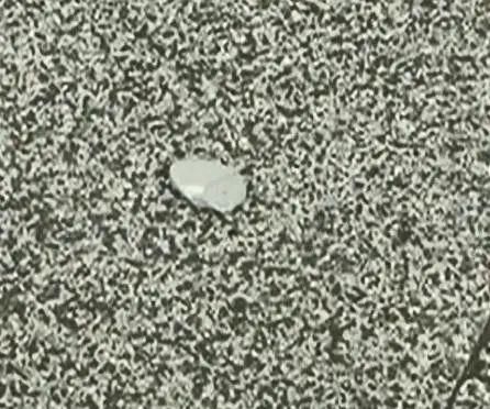  小心|贵州丨一块石头从天而降，击中路人！这栋楼大家要小心啊！