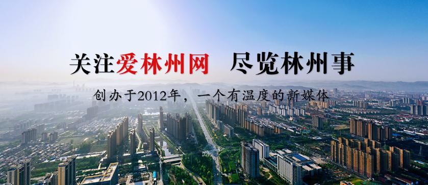  寻找|点赞！生死搜救 老人失踪7天后找到了