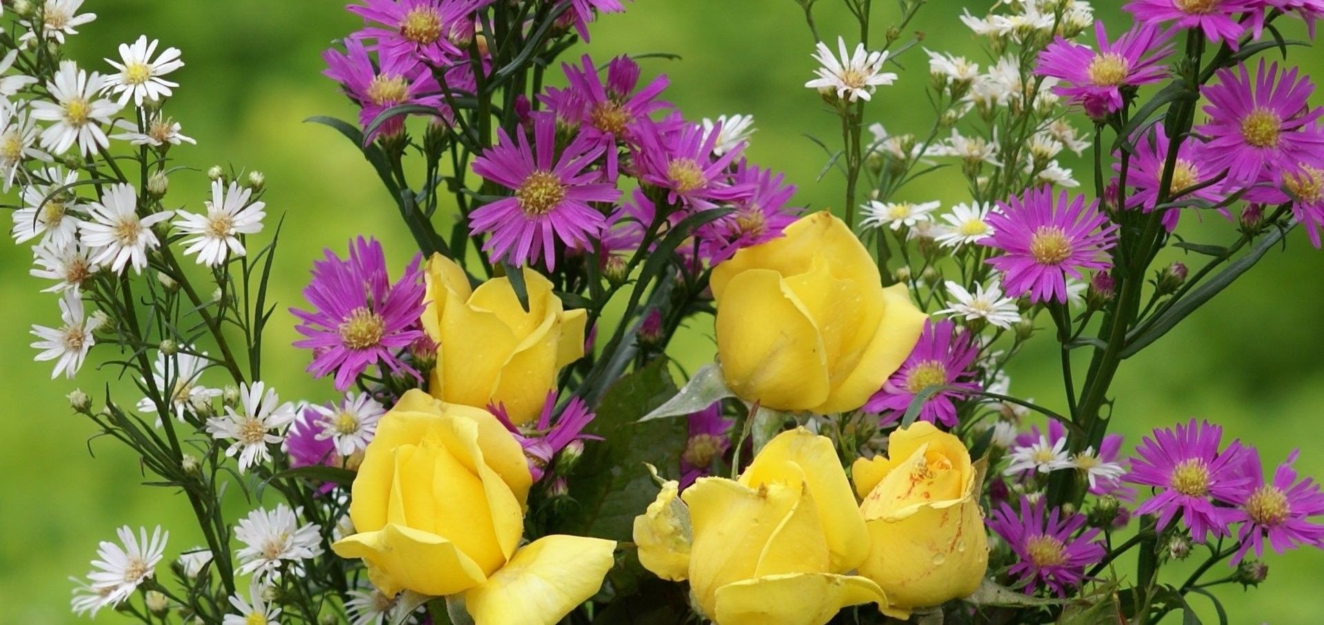 桃花运|在这个8月中旬,桃花运最旺的四大星座,贵人在旁,好运常在