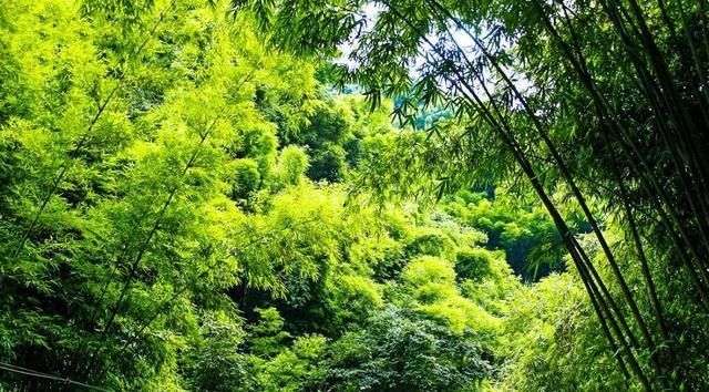 天台山|四川成都秘藏的千年古城，又仙又美又凉快，一眼便会爱上