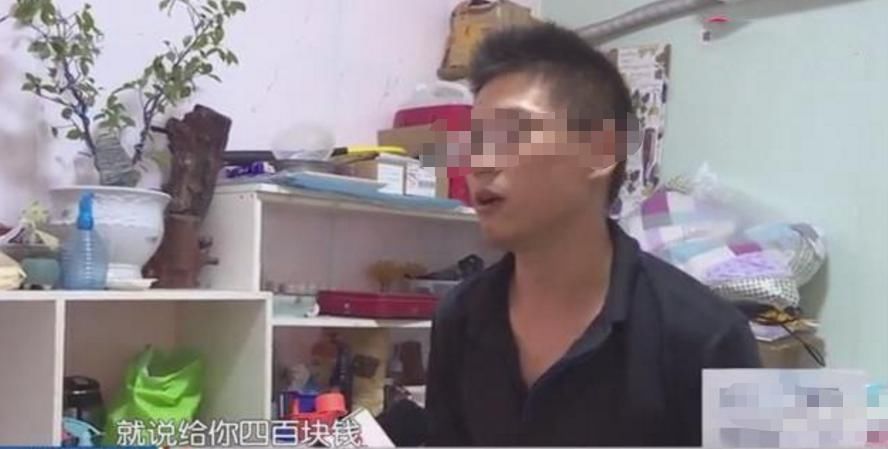  当事人|男子用网约车运狗，被弄丢后车主只赔400，当事人：那是4千块的拉布拉多