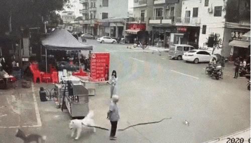  承担|狗绳甩向路边老太，女孩不管不问，加速逃离现场的行为，构成犯罪吗？