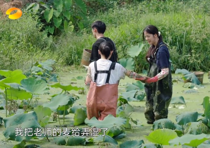  向往|《向往的生活》最“贵”女嘉宾，黄磊都不敢让她干活，坏了赔不起