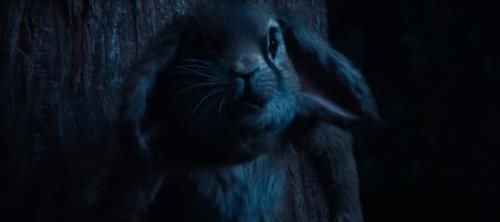  动画|“华为影业”最新动画广告《有惊无险》上线