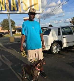 棒棒糖|狗被主人遗弃，主人的话让人愤怒，被救后，狗用行动报恩