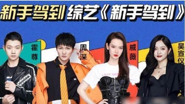  明星|原来明星也为“驾照愁”，《新手驾到》全新上线，有你喜欢的人吗