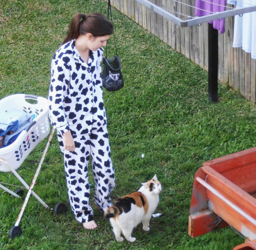 爸妈|爱猫身患癌症，女孩坚决让爸妈掏钱切它耳鼻，13年陪伴比钱重要