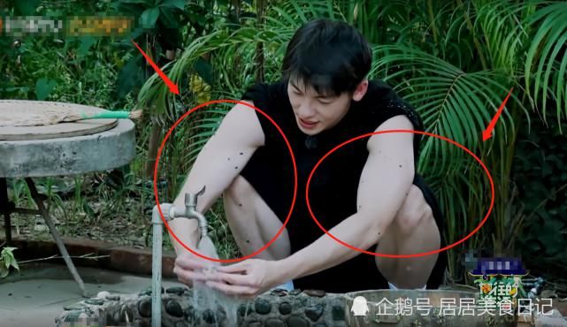  许光汉|《向往4》许光汉抢着洗藕！却因一举动“穿帮”？网友：装不了！