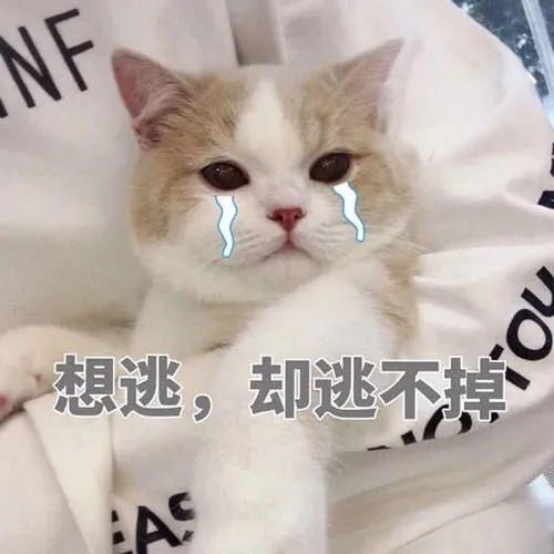 交通|西安交警“交通违法举报”今日上线，审核通过、查证后录入“违章”