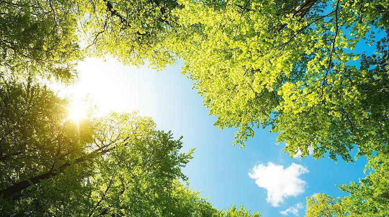  事业|15号后，运势大吉，喜多财旺事业兴的四大生肖!