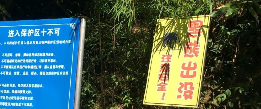  鼻涕|掠食者日志 | 560_可以吸的鼻涕果