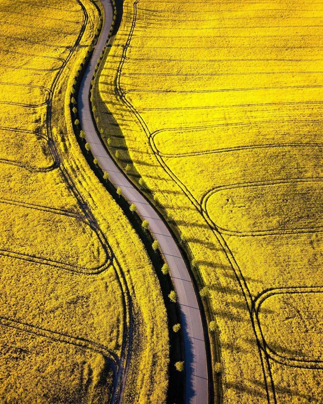  不止|瑞典的美，不止一种颜色！