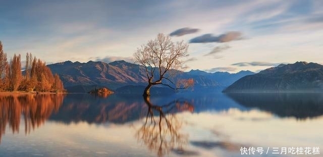 冰清玉洁|冰清玉洁银耳,红的发紫的紫薯,这锅粥必须好吃又顺口