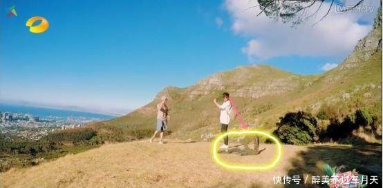 最明显|《花少》处女座遇见处女座,张若昀一个小动作就完胜陈柏霖!