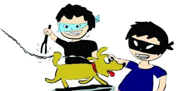  法律|宠物被“拎走”，看看法律怎么说