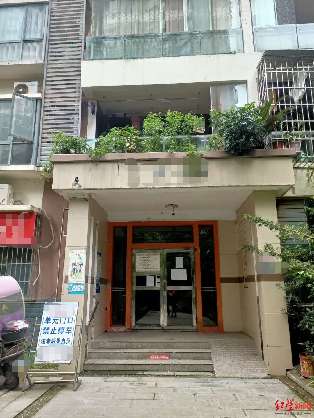 回家|8岁男童乘电梯回家遇害：18岁嫌疑人投案 初查有精神病史，曾伤人尚在缓刑期