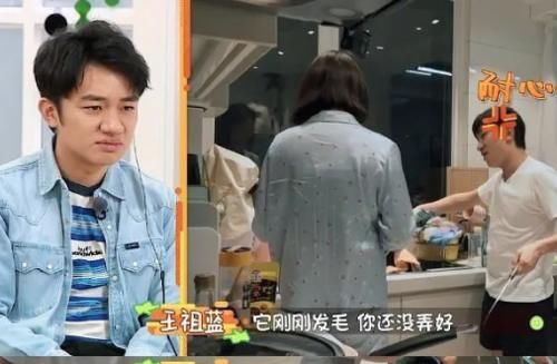  张继科|王祖蓝太冷漠，狂骂怀孕的妻子不做家务，吓呆范丞丞和张继科