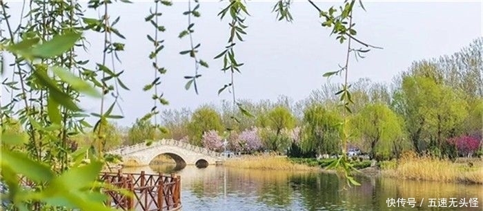 春光|全国特色小镇春光正好